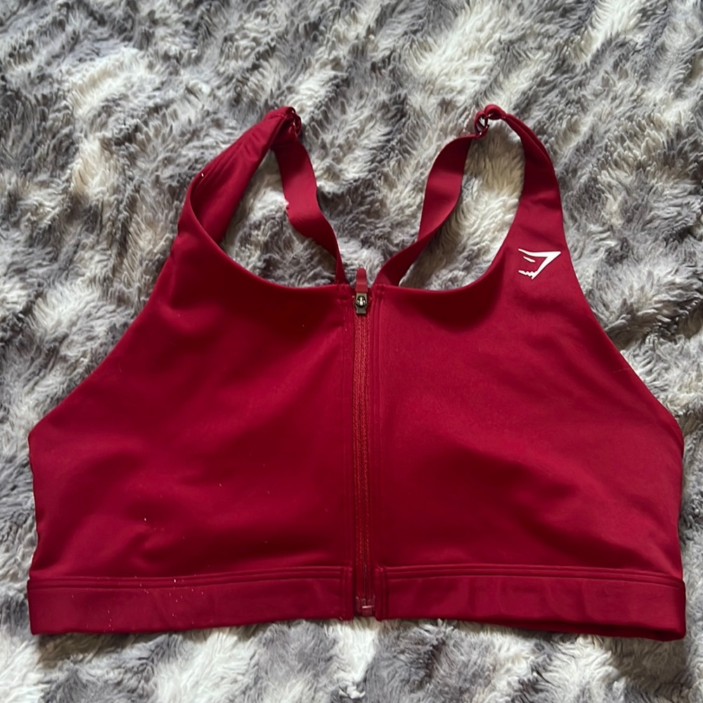 Gym shark